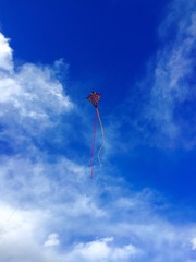 Flying Kite
