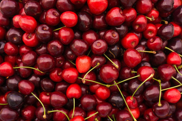 Red Cherries. Cherry selection