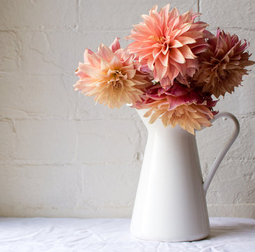 Coral pink dahlias in a white jug on a white tablecloth against a white brick wall