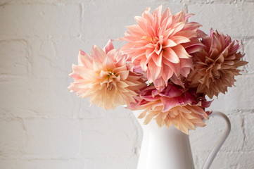 Coral pink dahlias in a white jug against a white brick wall (cropped) © Natalie Board