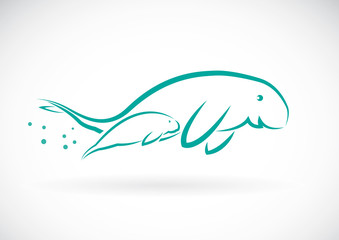 Vector image of an dugong on white background