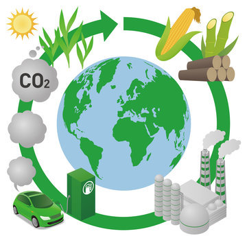 Biofuel: Biomass ethanol  life cycle and earth, diagram illustration