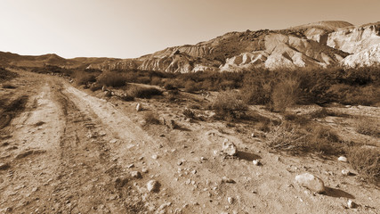 Negev Desert in Israel
