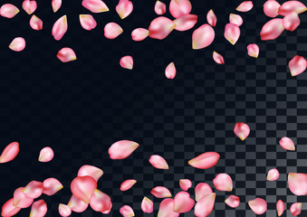 Abstract background with flying pink rose petals.