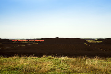 Obraz premium collection of black peat 