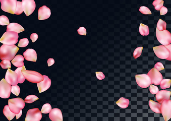 Abstract background with flying pink rose petals.