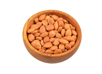 Dried apricot kernel in dish