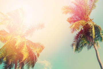 Palm Tree Sun Light Travel Background Design Toned