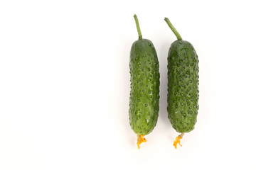 two green cucumber on white background