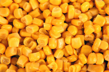 peeled corn grain closeup