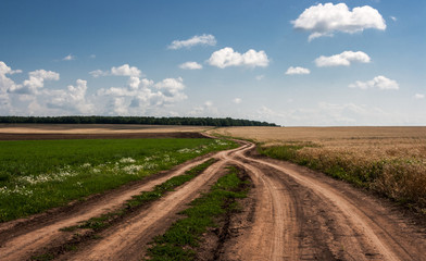 Fototapeta na wymiar road to the field of wheat