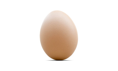 Close up egg isolated on white background with clipping path 
