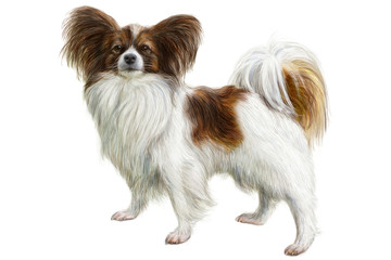 Dog hand draw and paint on white background vector illustration.