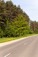 Fototapeta premium asphalt road , spring