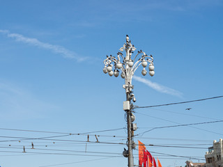 Rock pigeon flock sit on vintage street lamp against blue sky background. Moscow, Russia.
