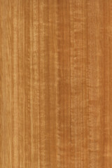 timber grain of Eucalyptus delegatensis, Tasmanian Ash