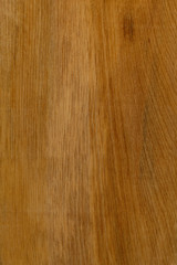 timber grain of New Zealand White Pine, (Kahikatea), Dacrycarpus dacrydioides
