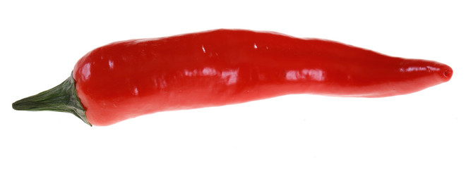 Fototapeta premium Papryka chili