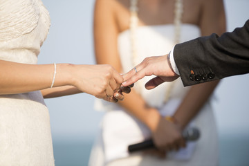 Obraz na płótnie Canvas Bride Put the Wedding Ring on groom