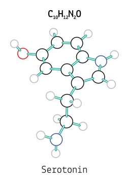 C10H12N2O serotonin molecule Stock Vector | Adobe Stock