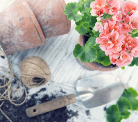 Vintage garden tools and pink flowers