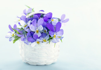 Bouquet de pensées violettes