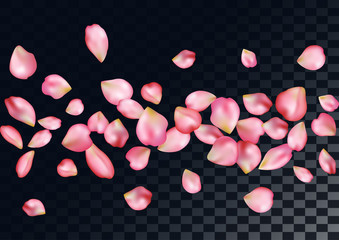 Abstract background with flying pink rose petals.