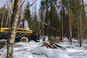 Woodworking in forest. Image of logger works