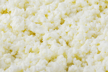 a cottage cheese