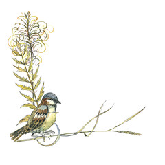 bird, sparrow tit, woodpecker, branches and leaves, watercolor. For background, textiles.