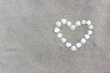 Fototapeta na wymiar heart / Heart made of shells on the sandy beach