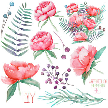 A set, collection of the isolated watercolor red peonies, berries, leaves and branches, hand-drawn on a white background