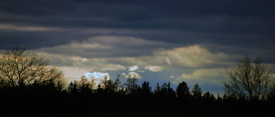 Fototapeta premium Winter dark sky