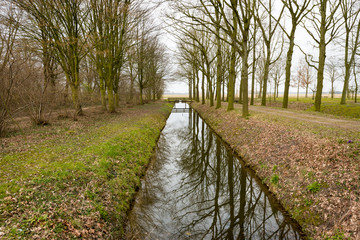 Straight stream with a wooden bridge at the end