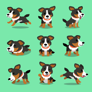 Cartoon character american shepherd dog poses