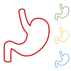 Human anatomy. Stomach sign