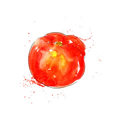 watercolor red tomato