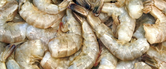 Many Raw Green King Size Shrimps On White Background