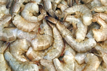 Many Raw Green King Size Shrimps On White Background