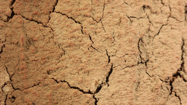 Land Becoming Dry Epic Landscape Timelapse