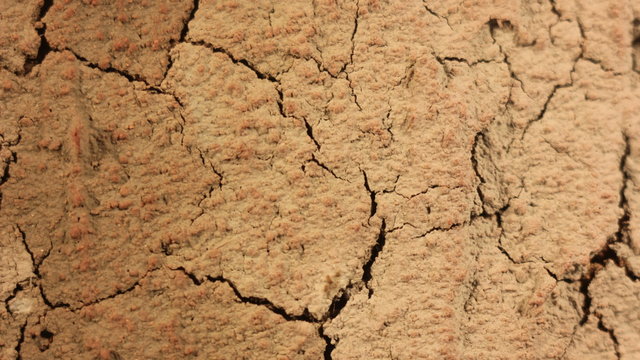 Land Becoming Dry Epic Landscape Timelapse