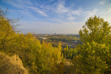 forest scenery with rays of warm light