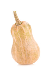butternut squash isolated on a white background