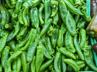 Pimientos verdes