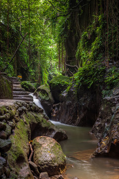 Monkey Forest Sanctuary, Ubud, Bali, Indonesia