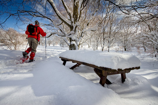 Italy, Tuscany, National Park of the Casentino Forests, Mount Fa