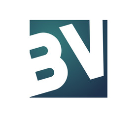 BV template Logo design for your company.