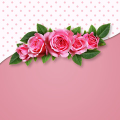 Fototapeta na wymiar Pink rose flowers on pink background