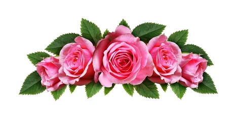 Poster de jardin Roses Pink rose flowers arc arrangement