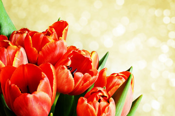 Red tulip flowers bouquet in a corner